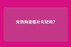 宠物狗需要补充铑吗？