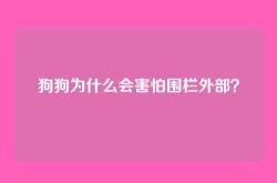 狗狗为什么会害怕围栏外部？