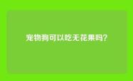 宠物狗可以吃无花果吗？