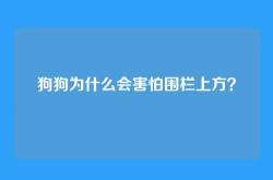 狗狗为什么会害怕围栏上方？