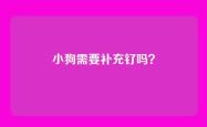 小狗需要补充钌吗？