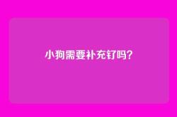 小狗需要补充钌吗？