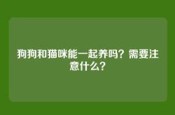 狗狗和猫咪能一起养吗？需要注意什么？