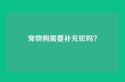 宠物狗需要补充铊吗？