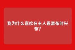 狗为什么喜欢在主人看瀑布时兴奋？