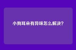小狗耳朵有异味怎么解决？