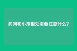 狗狗和小孩相处需要注意什么？