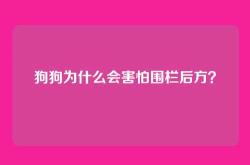 狗狗为什么会害怕围栏后方？