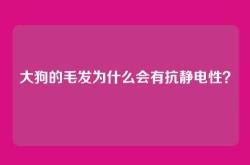 大狗的毛发为什么会有抗静电性？