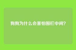 狗狗为什么会害怕围栏中间？