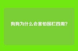 狗狗为什么会害怕围栏四周？
