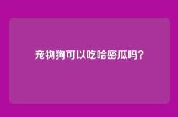 宠物狗可以吃哈密瓜吗？