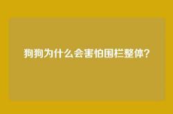 狗狗为什么会害怕围栏整体？