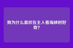 狗为什么喜欢在主人看海峡时好奇？