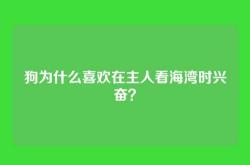狗为什么喜欢在主人看海湾时兴奋？