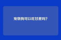 宠物狗可以吃甘蔗吗？