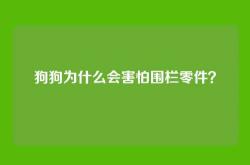狗狗为什么会害怕围栏零件？