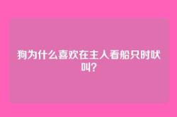 狗为什么喜欢在主人看船只时吠叫？