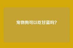 宠物狗可以吃甘蓝吗？
