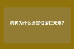 狗狗为什么会害怕围栏元素？