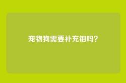 宠物狗需要补充钼吗？