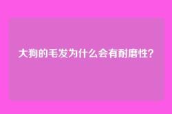 大狗的毛发为什么会有耐磨性？