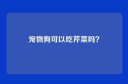 宠物狗可以吃芹菜吗？