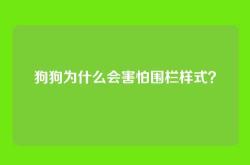 狗狗为什么会害怕围栏样式？