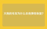 大狗的毛发为什么会有弹性恢复？