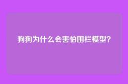 狗狗为什么会害怕围栏模型？