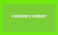 小狗如何教它不爬高地？