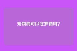 宠物狗可以吃罗勒吗？
