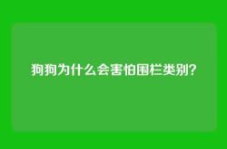 狗狗为什么会害怕围栏类别？