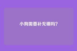 小狗需要补充硼吗？