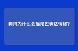 狗狗为什么会摇尾巴表达情绪？