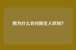 狗为什么会对陌生人吠叫？