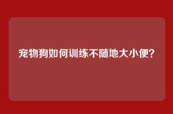 宠物狗如何训练不随地大小便？