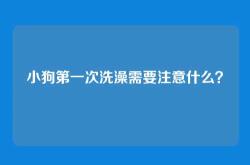 小狗第一次洗澡需要注意什么？