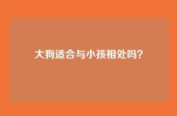 大狗适合与小孩相处吗？