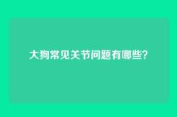 大狗常见关节问题有哪些？