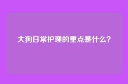 大狗日常护理的重点是什么？