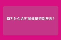狗为什么会对邮递员特别敌视？