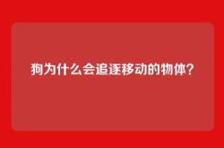 狗为什么会追逐移动的物体？