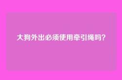 大狗外出必须使用牵引绳吗？
