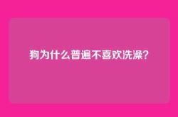 狗为什么普遍不喜欢洗澡？