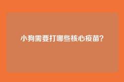 小狗需要打哪些核心疫苗？