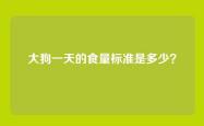 大狗一天的食量标准是多少？