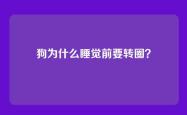 狗为什么睡觉前要转圈？