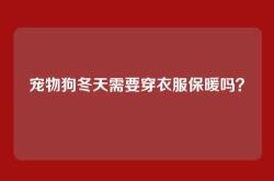 宠物狗冬天需要穿衣服保暖吗？
