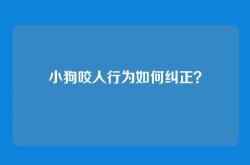 小狗咬人行为如何纠正？